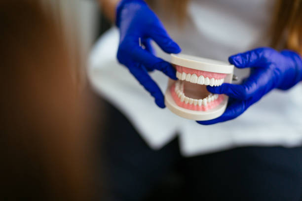  Calico Rock, AR Holistic Dental Services Pros